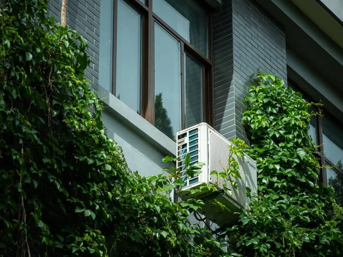 Energy-Efficient Windows in Wilson, NC